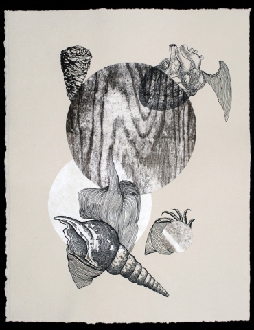 untitled (shell/heart)