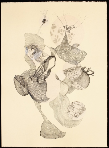 untitled (dog/hands/shell)