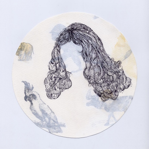 "trappings #2" (hair and cockatoo)