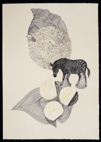 untitled (zebra 1)