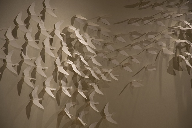 Twice : Migration (Installation View 5)