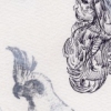 "trappings #2" (hair and cockatoo)