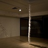 Twice : Migration (Installation View 9)