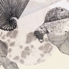 untitled (shell and dog)
