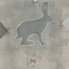 Notes from the Wilderness: Snowshoe Hare (Lepus americanus) #1