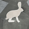 Notes from the Wilderness: Snowshoe Hare (Lepus americanus) #6