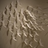 Twice : Migration (Installation View 5)