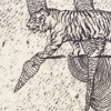 untitled (tiger)