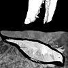 Ptarmigan In A Snow Cave