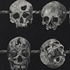 Decapitacion Humana