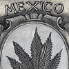 Hoja