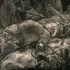 Transfusion II