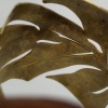 roots