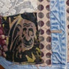 MONKEY - monkey close-up