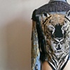 TIGER - back, head-on