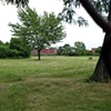 Stump 23b