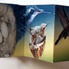 Book Making Projects