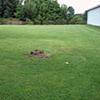 Stump 11