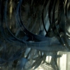 Car Wash #7