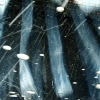Car Wash #5