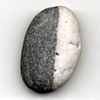 Black & White Cookie