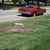 Stump 6b