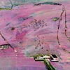 The Front Yard