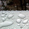 Cell Phone Photo