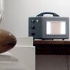 Science Project: Artifacts from the McConnell Cage Collection