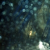 Car Wash #3