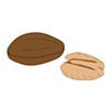 Pecan