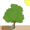 Shade Tree