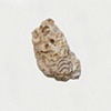 Small Intestine