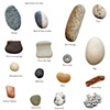 Relative Size