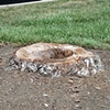 Stump 5