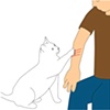 Cat Scratch