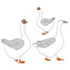 Geese