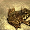 Drawings/Paintings