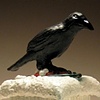 Crow Box (lidded vessel).