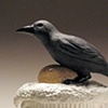 Crow Vessel.