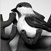 Bird Vessel II.

ceramic wall piece