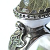 The Lost Ring of Aes Sidhe