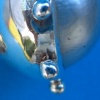 Pearl Ring