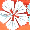 Kanehshon Sterling Silver Earrings