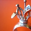 Tigerlily Cocktail Wishring