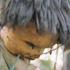 island of the dolls