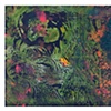 In Time of Silver Rain (Green 5)