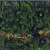 In Time of Silver Rain (Green 1, possibly Hawaii)