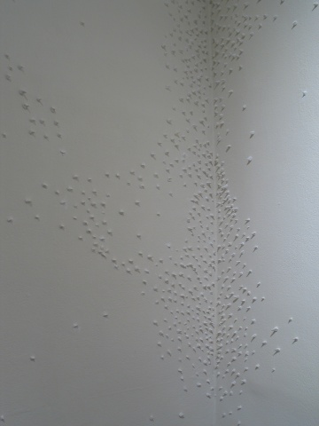 Cornered