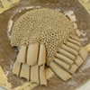 Golden & Brown installation in process